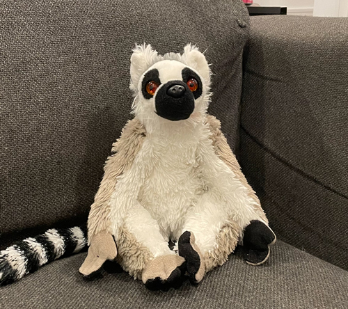Mr. Lemur
